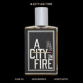 City on Fire by Imaginary Authors